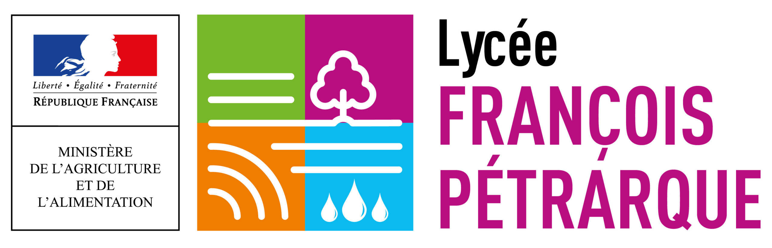 lycee-francois-petrarque